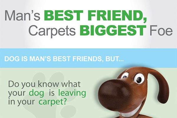 chem-dry-cleans-dog-mess-from-carpets-feat